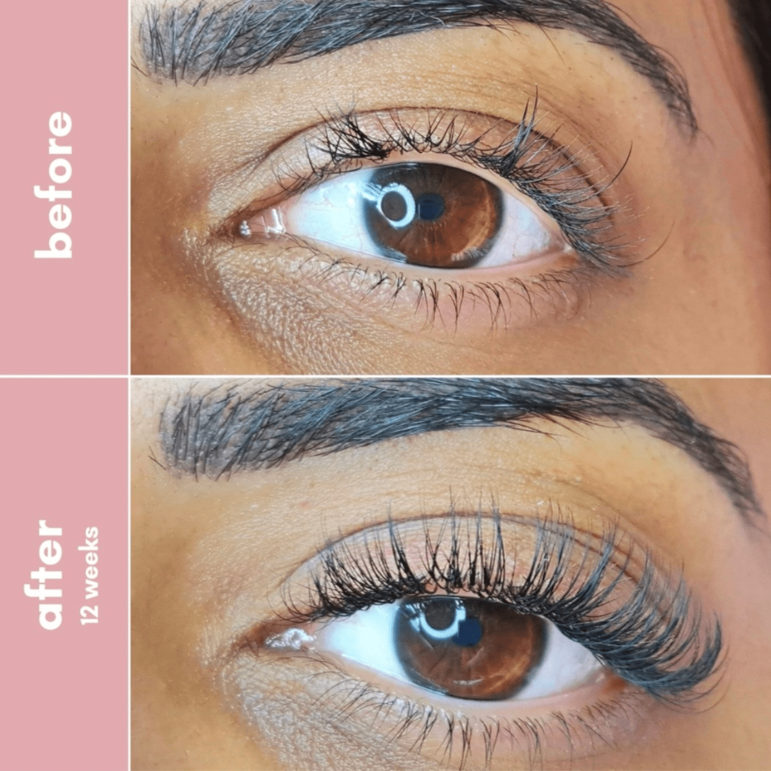 Multi-Peptide Lash & Brows Serum