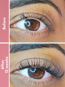 multi peptide lash & brows serum